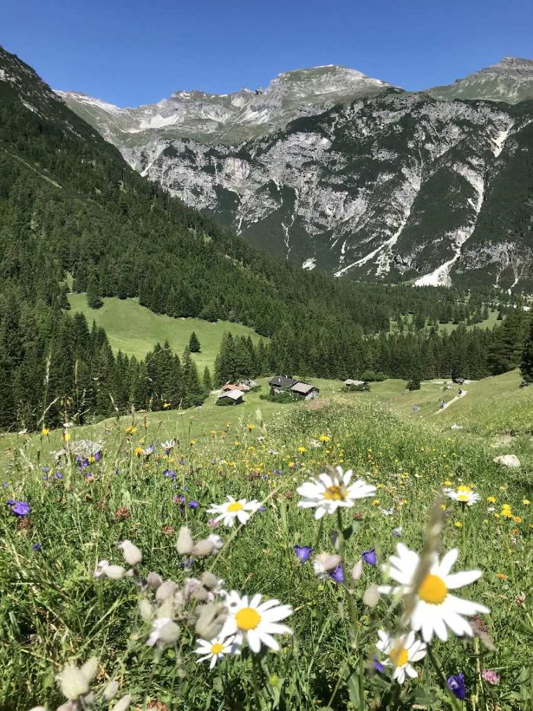 Obernberger See Wanderung - über die Almwiesen