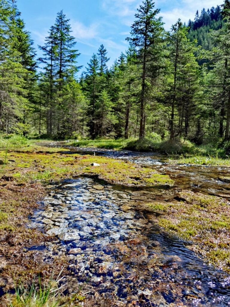 Berauschend schöne Natur im Obernbergtal am Brenner