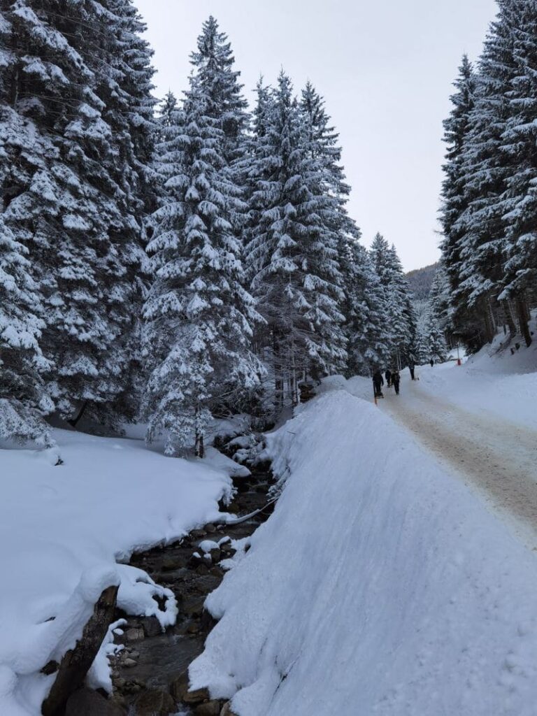 Winterwonderland beim Maria Waldrast rodeln - der Aufstieg erfolgt auf der Mautstraße