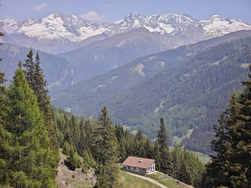 Ausblick oberhalb der Kastnerbergalm auf den Alpenhauptkamm - und unten das Obernbergtal