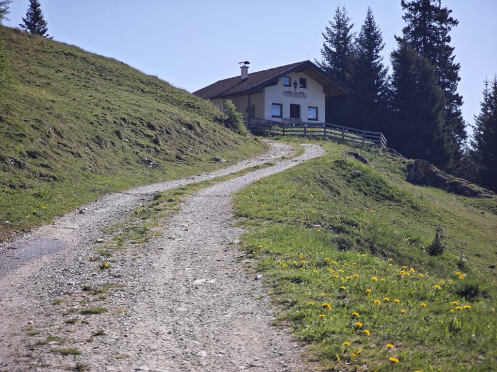 Der Forstweg zur Kastnerbergalm - Wanderweg und offizielle MTB Strecke