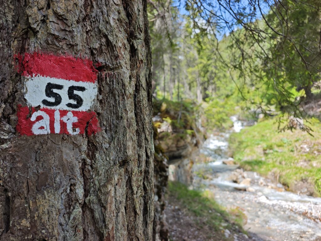 Der schönste Weg zum Sarnthein Wasserfall führt über den alten Weg 55